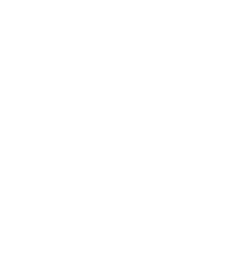 DX Logo